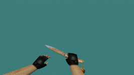 model2.gif