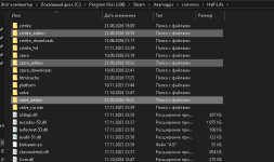 _addon_path.png